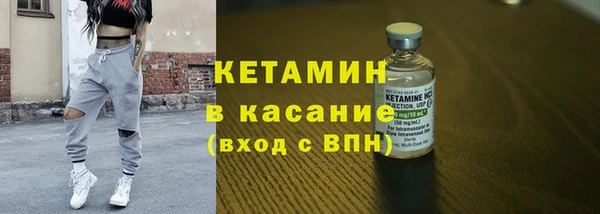 сатива Заволжье