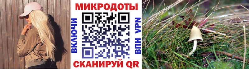 Псилоцибиновые грибы Cubensis Купить где Зима